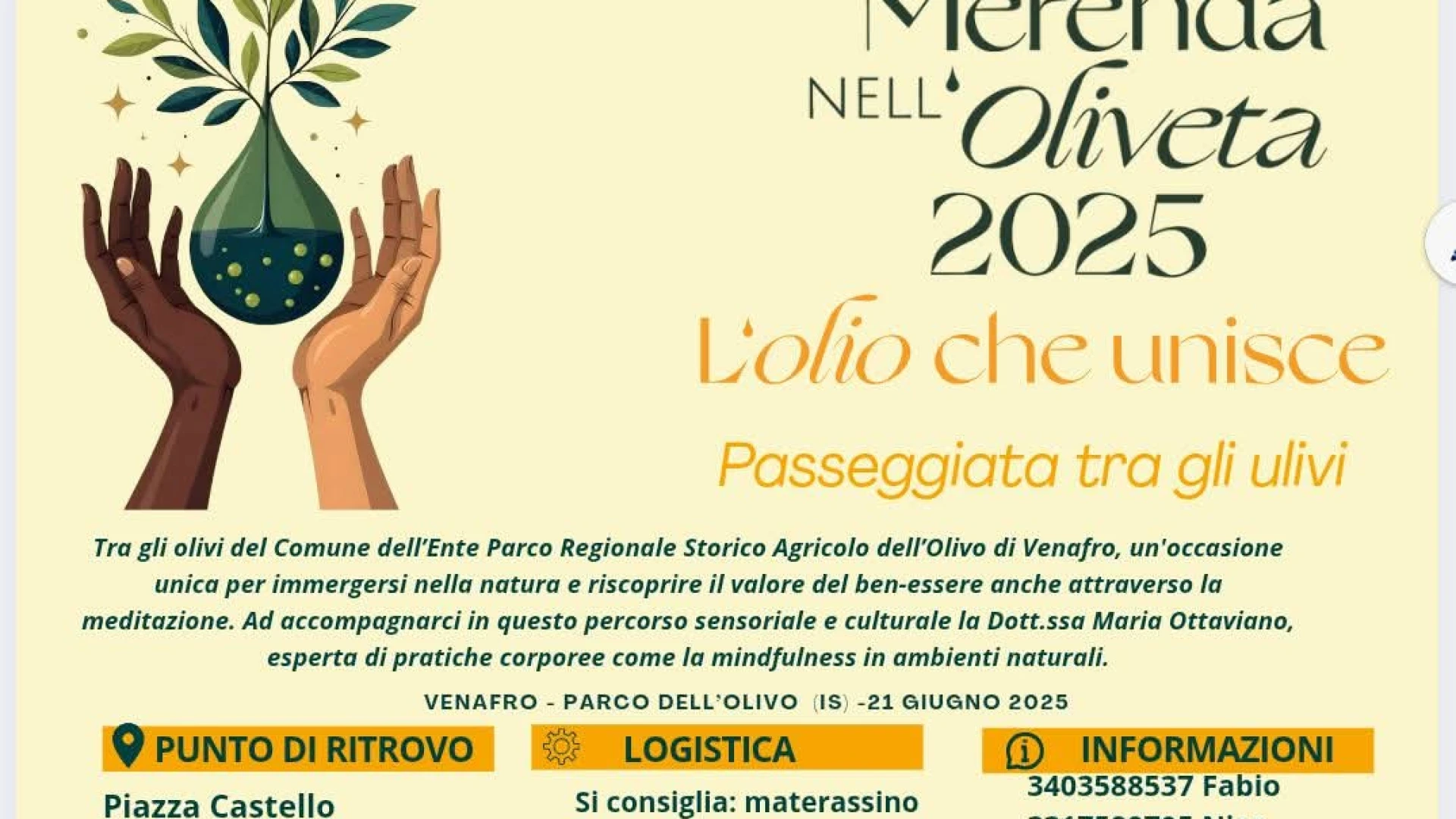 Venafro: nel parco regionale dell’Olivo un percorso esperienzale di piscologia del benessere.